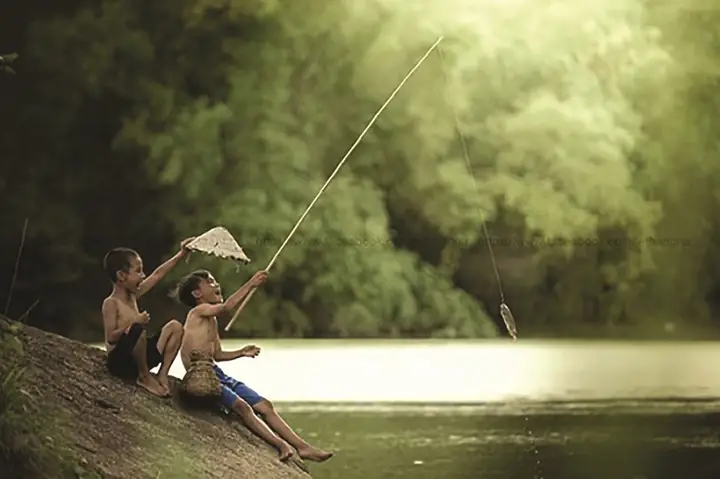 Ảnh Cá Rô Đồng
