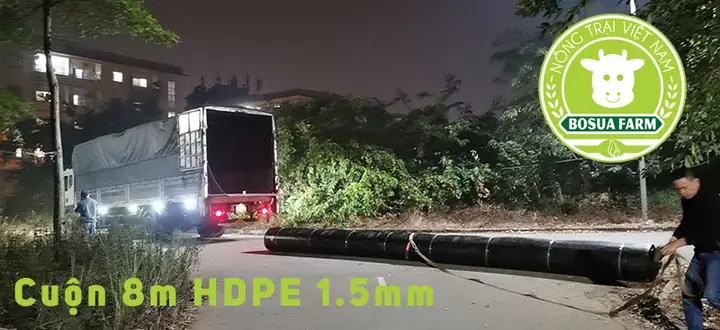 Bán Bể Cá Cảnh