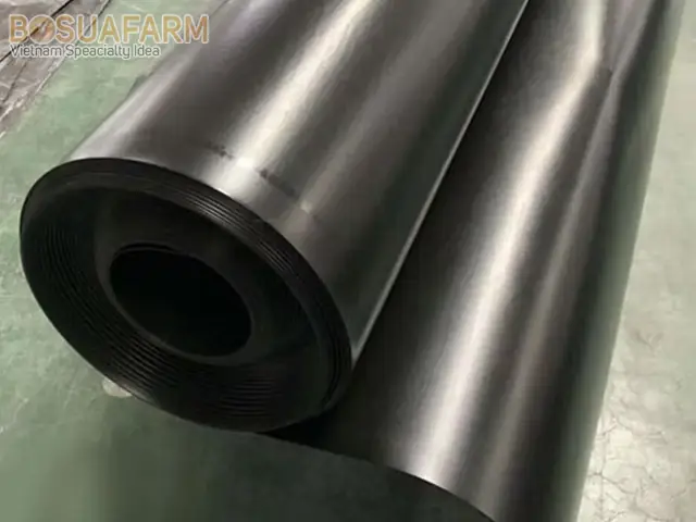 Bán Bể Cá Cảnh
