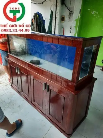 Bán Bể Cá Rồng: Kinh Nghiệm Chọn Mua & Thiết Kế Hồ Chuẩn Chuyên Gia