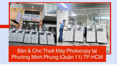 Bán Cá Phi Phụng Tphcm: Hướng Dẫn Mua Cá Tươi Ngon, Giá Tốt Nhất