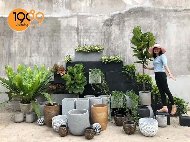 Hướng Dẫn Chi Tiết Mua Và Sử Dụng Chậu Xi Măng Nuôi Cá Tại Tp.hcm