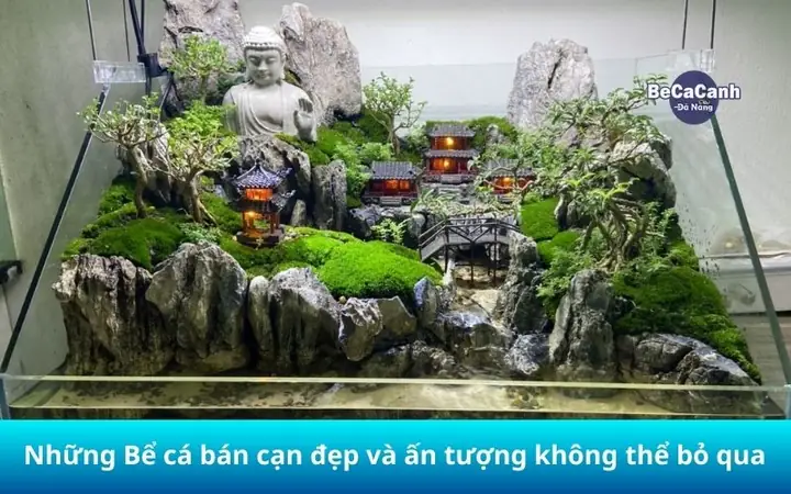 Bán Đá Trang Trí Bể Cá: Hướng Dẫn Chi Tiết Từ Chuyên Gia