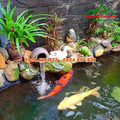 Bán Đá Trang Trí Bể Cá: Hướng Dẫn Chi Tiết Từ Chuyên Gia