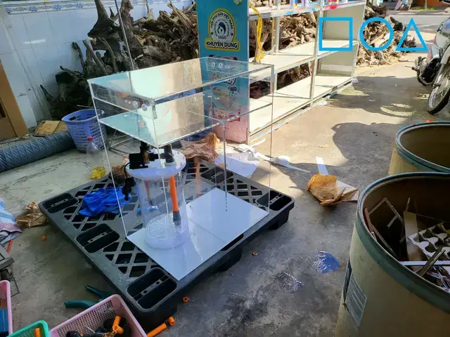 Các Yếu Tố Cần Cân Nhắc Khi Chọn Mua Hồ Cá Biển Mini