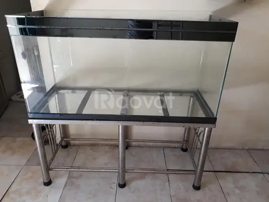 Hướng Dẫn Mua Bán Hồ Cá Cũ: Kiến Thức, Kinh Nghiệm & Top 10 Địa Chỉ Uy Tín Tại Tp.hcm