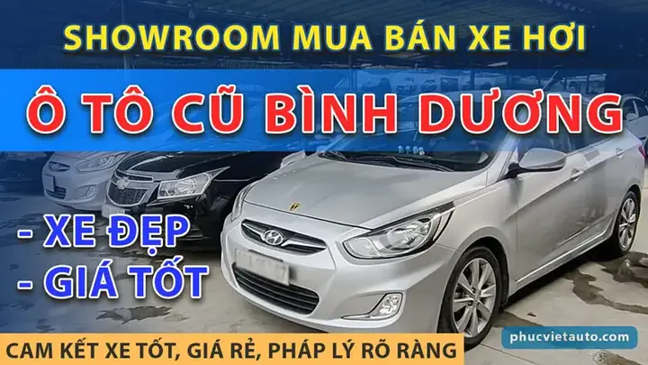 Bán Hồ Cá Cũ Ở Bình Dương: Kinh Nghiệm Lựa Chọn, Mua Bán Và Những Lưu Ý Quan Trọng