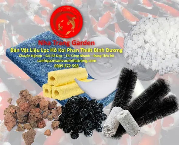 Bán Hồ Cá Cũ Ở Bình Dương: Kinh Nghiệm Lựa Chọn, Mua Bán Và Những Lưu Ý Quan Trọng