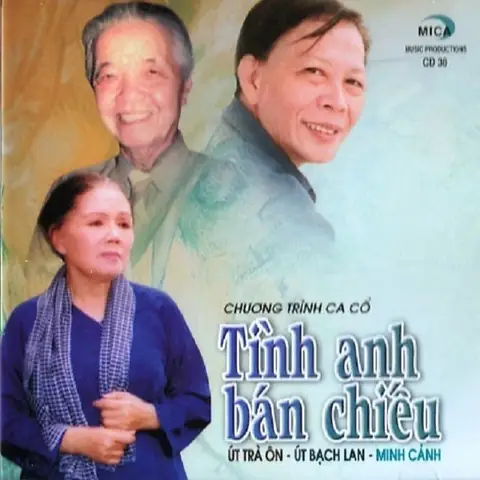 Hướng Dẫn Chi Tiết Cách Mua Hồ Cá Mica Chất Lượng, Bền Đẹp Cho Người Mới Bắt Đầu