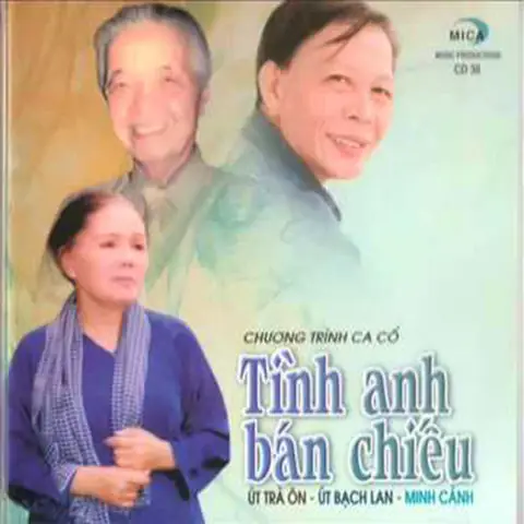 Hướng Dẫn Chi Tiết Cách Mua Hồ Cá Mica Chất Lượng, Bền Đẹp Cho Người Mới Bắt Đầu