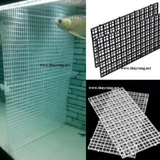 Hướng Dẫn Chọn Và Lắp Đặt Tấm Ngăn Bể Cá Hiệu Quả Cho Người Mới Bắt Đầu