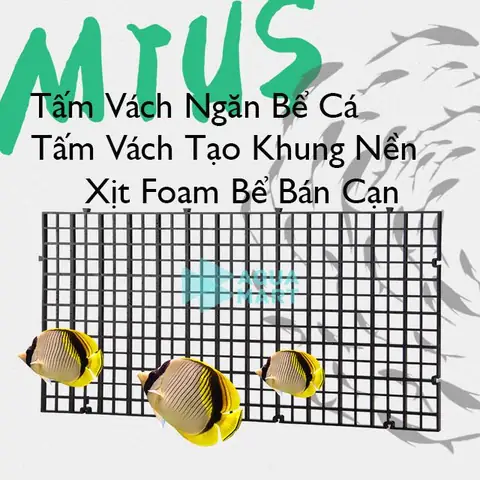 Hướng Dẫn Chọn Và Lắp Đặt Tấm Ngăn Bể Cá Hiệu Quả Cho Người Mới Bắt Đầu