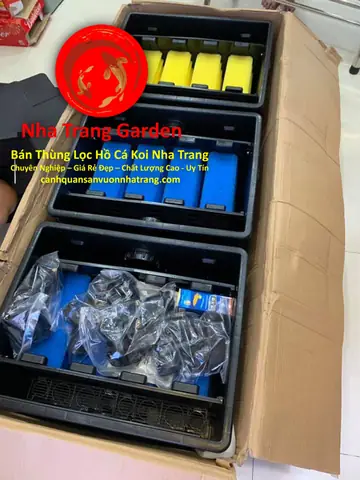 Yêu Cầu Chất Liệu Liệu Thùng Lọc Hồ Cá Koi