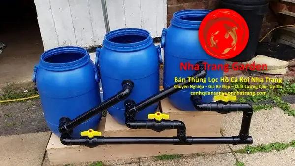 Bố Cục Thiết Kế Hệ Thống Lọc Thùng Hồ Cá Koi