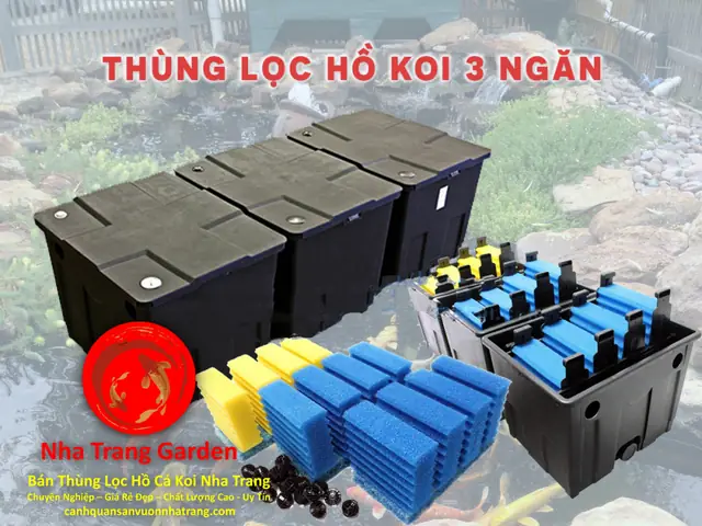 Lưu Ý: