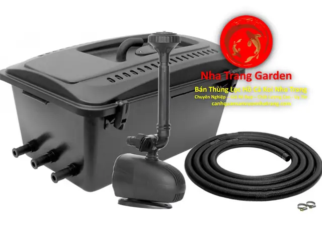 Đảm Bảo Lọc Nước Hiệu Quả Cho Hồ Cá Koi