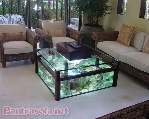 Bàn Trà Bể Cá: Khi Thiên Nhiên Tràn Ngập Không Gian Sống