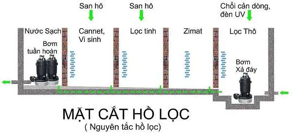 Sự Thấu Hiểu Về Bản Vẽ Hệ Thống Lọc Hồ Cá Koi