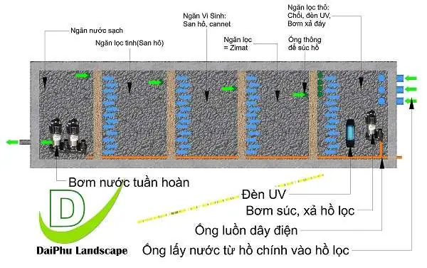Sự Thấu Hiểu Về Bản Vẽ Hệ Thống Lọc Hồ Cá Koi