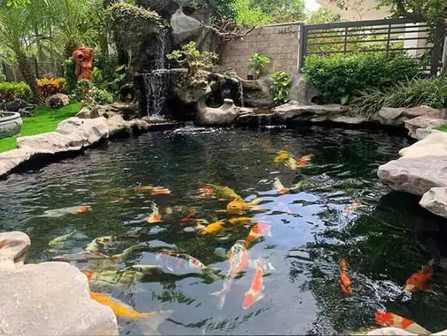 Lợi Ích Của Việc Có Bản Vẽ Thiết Kế Hồ Cá Sân Vườn Lợi Ích Của Việc Có Bản Vẽ Thiết Kế Hồ Cá Sân Vườn