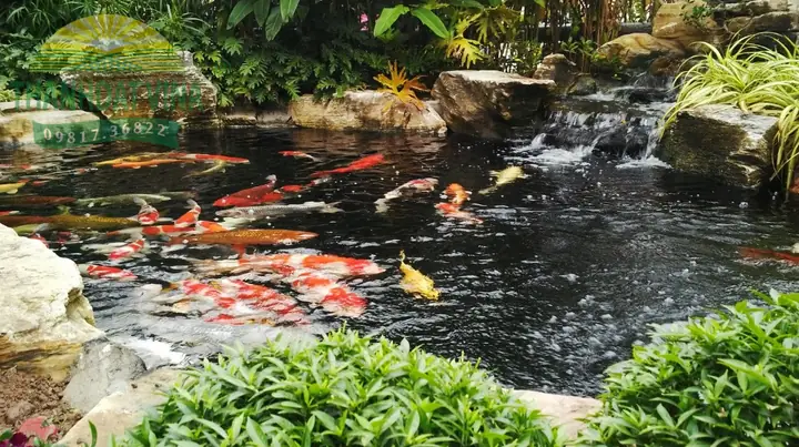 Bạt Lót Hồ Cá