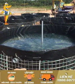 Ao Tròn Lót Bạt Nuôi Cá D4