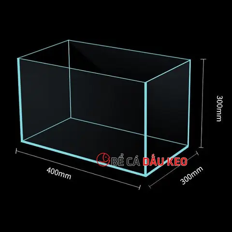 Bể Cá Mini 40x30x30: Bảng Giá, Tiêu Chí Chọn Mua & Kinh Nghiệm Nuôi