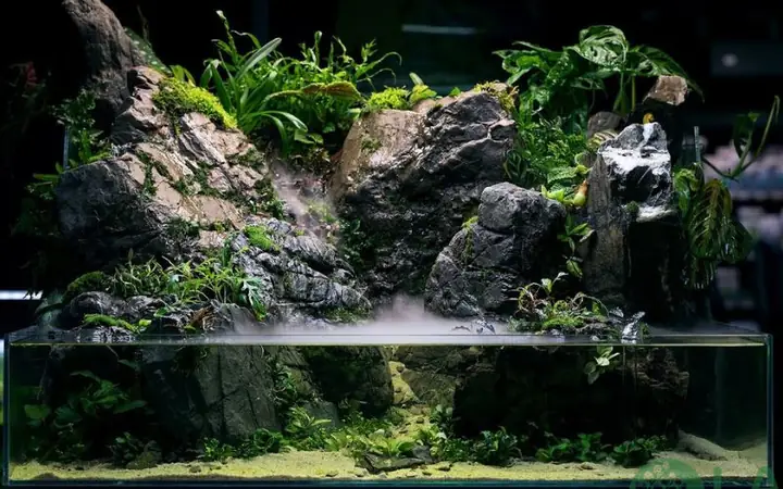 Hồ Bán Cạn Paludarium