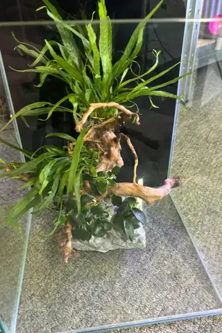 Vật Dụng Cần Thiết Khác