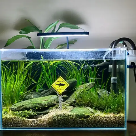Chu Trình Nitơ Và Ổn Định Bể