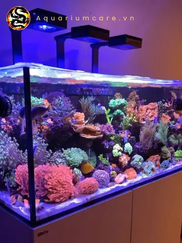 Địa Điểm Đặt Bể Địa Điểm Đặt Bể