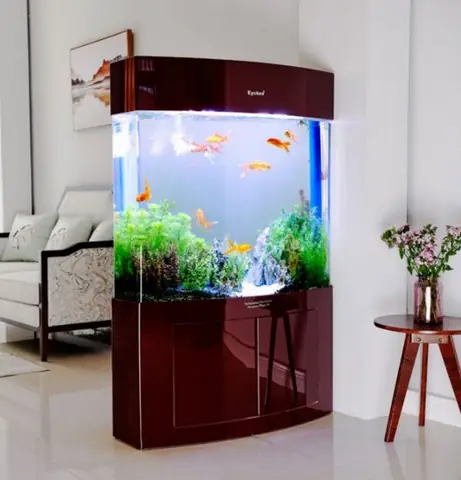 Những Ưu Điểm Vượt Trội Của Bể Cá Cảnh Nhập Khẩu Nguyên Bộ