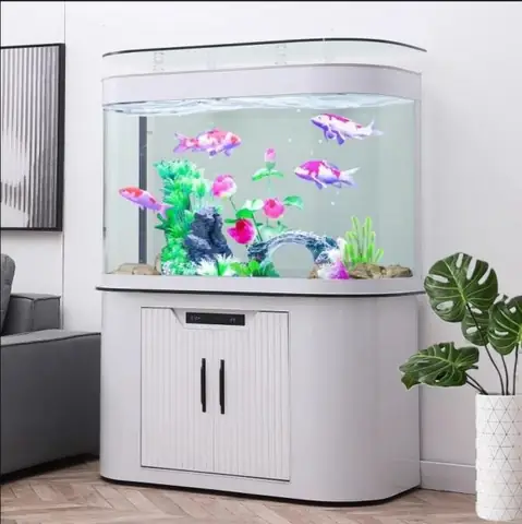 Bể Cá Cảnh Nhập Khẩu: Toàn Tập Về Thiết Kế, Ưu Điểm & Kinh Nghiệm Chọn Mua