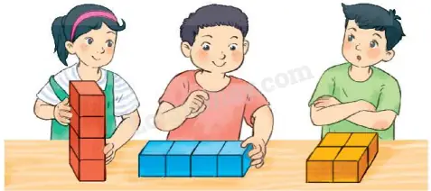 Bể Cá Có Nắp
