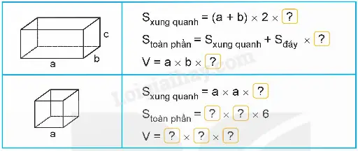 Bể Cá Có Nắp