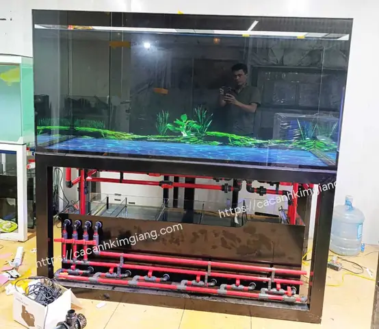 Một Số Mẫu Bể Công Nghệ Mới