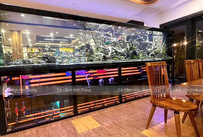 Một Số Mẫu Bể Công Nghệ Mới
