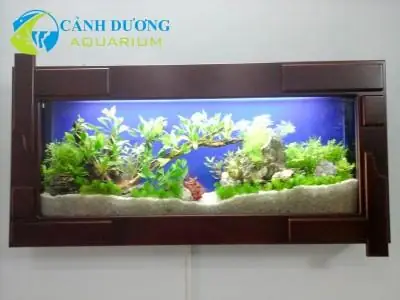 Bể Cá Đẹp Trong Nhà Bể Cá Đẹp Trong Nhà