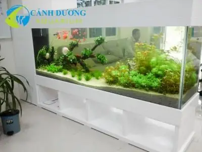 Bể Cá Đẹp Trong Nhà Bể Cá Đẹp Trong Nhà