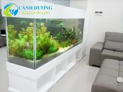 Bể Cá Đẹp Trong Nhà Bể Cá Đẹp Trong Nhà