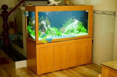 Bể Cá Đẹp Trong Nhà Bể Cá Đẹp Trong Nhà