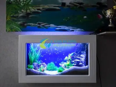 Bể Cá Đẹp Trong Nhà Bể Cá Đẹp Trong Nhà