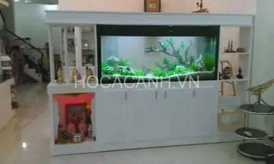 Bể Cá Đẹp Trong Nhà Bể Cá Đẹp Trong Nhà