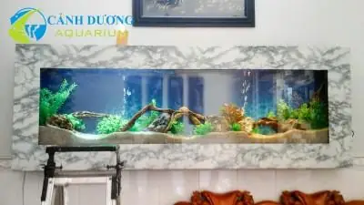 Bể Cá Đẹp Trong Nhà Bể Cá Đẹp Trong Nhà