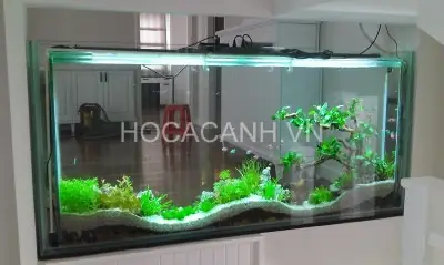 Bể Cá Đẹp Trong Nhà Bể Cá Đẹp Trong Nhà