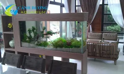 Bể Cá Đẹp Trong Nhà Bể Cá Đẹp Trong Nhà