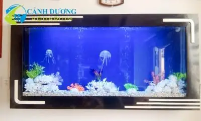 Bể Cá Đẹp Trong Nhà Bể Cá Đẹp Trong Nhà