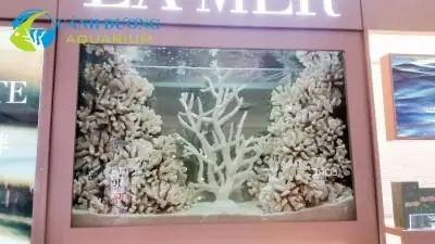 Bể Cá Đẹp Trong Nhà Bể Cá Đẹp Trong Nhà