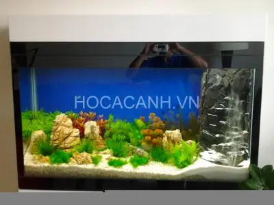 Bể Cá Đẹp Trong Nhà Bể Cá Đẹp Trong Nhà