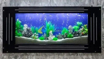 Bể Cá Đẹp Trong Nhà Bể Cá Đẹp Trong Nhà